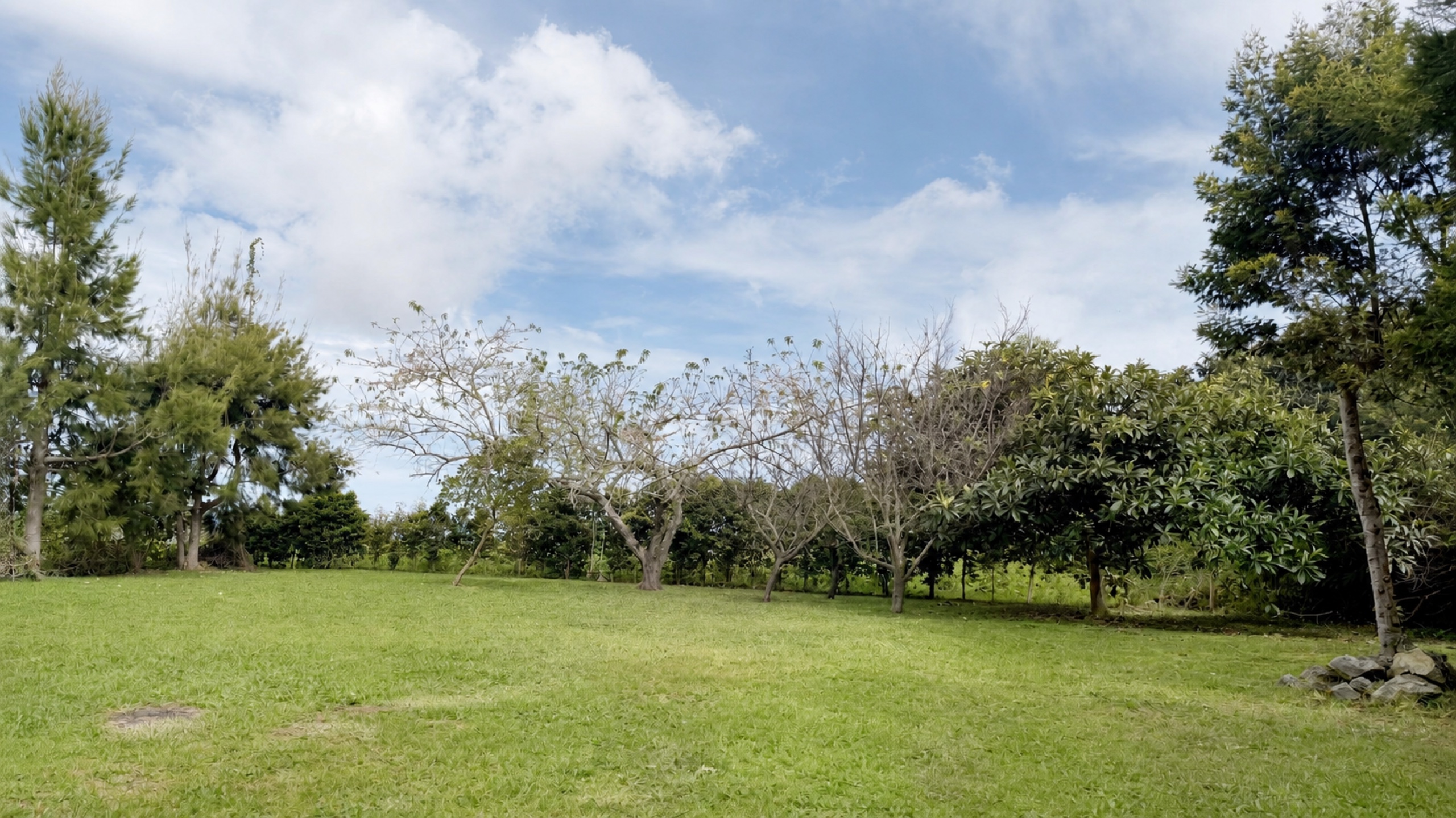 Jardin privé événementiel situé dans le Sud de La Réunion